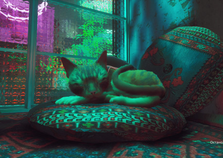 Stray